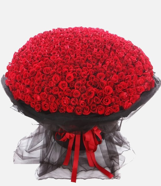 My Biggest Love 500 Adet Gül 