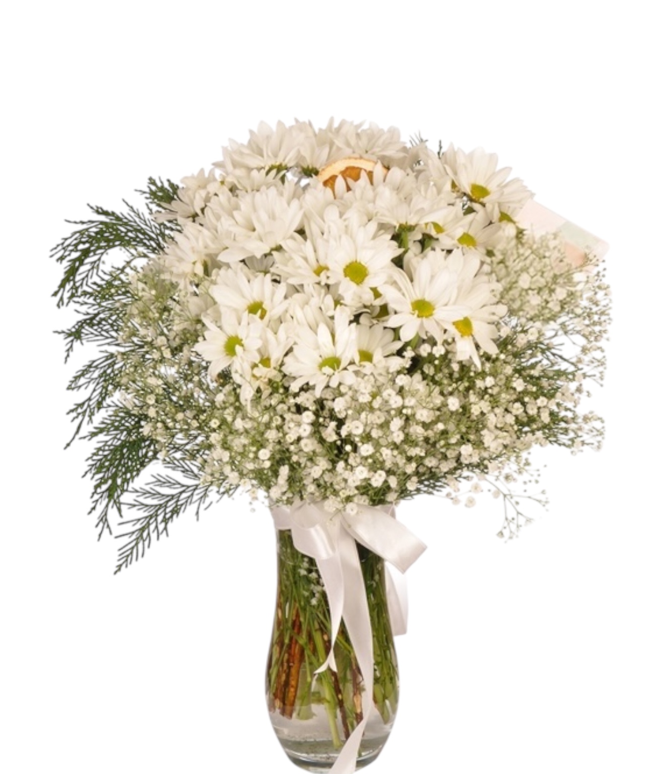 White Beyaz Papatyalar 
